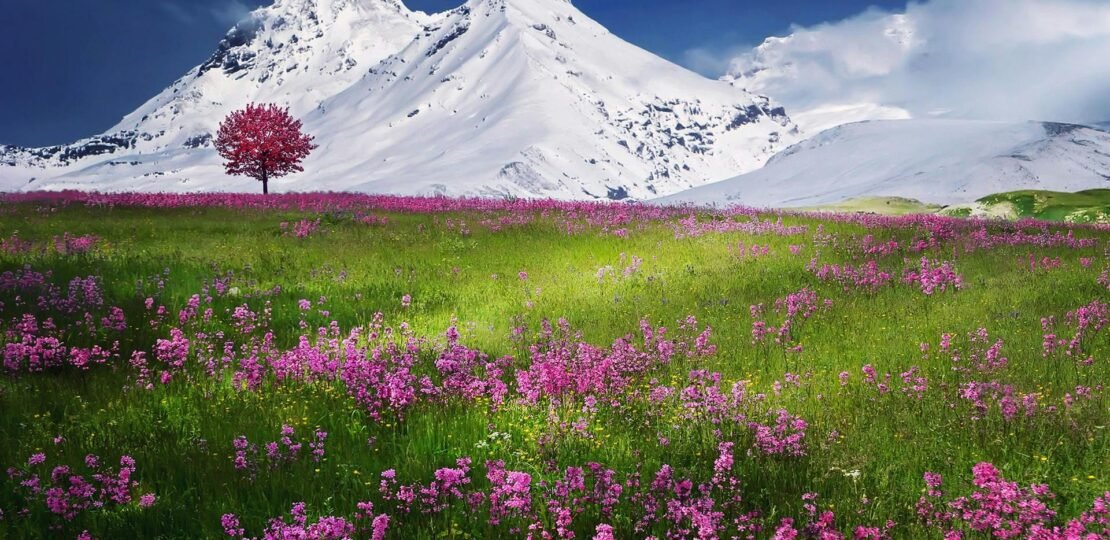 amazing-beautiful-beauty-blue-36478