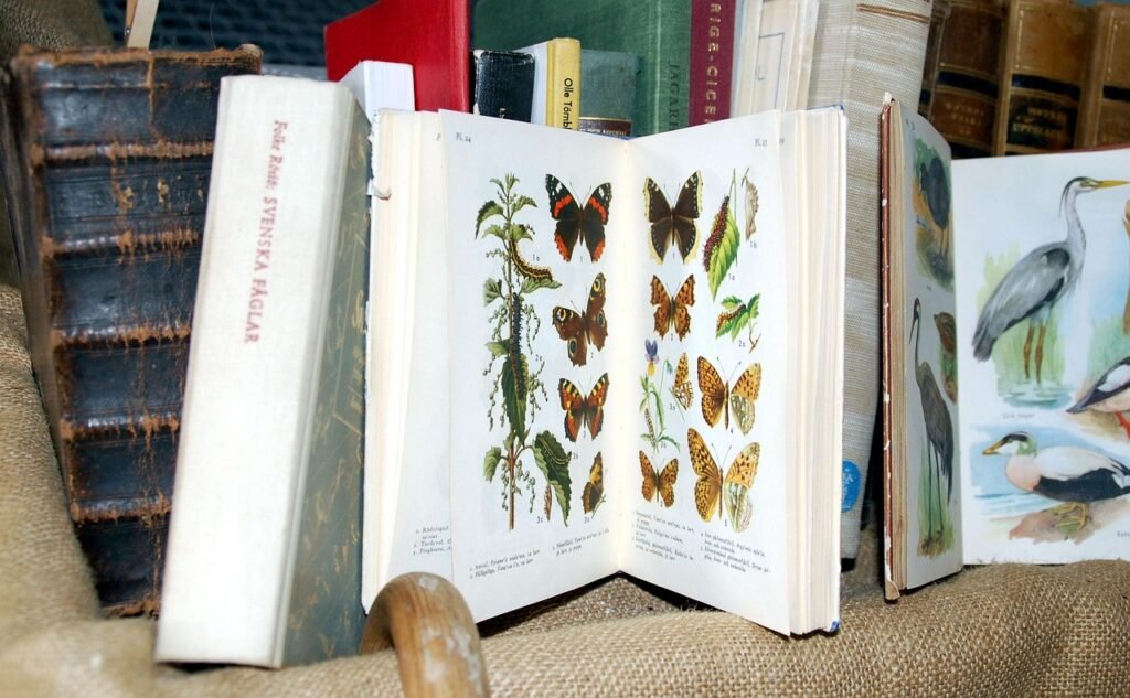 books, butterflies, nature, birds, ornithology, education, guide, knowledge