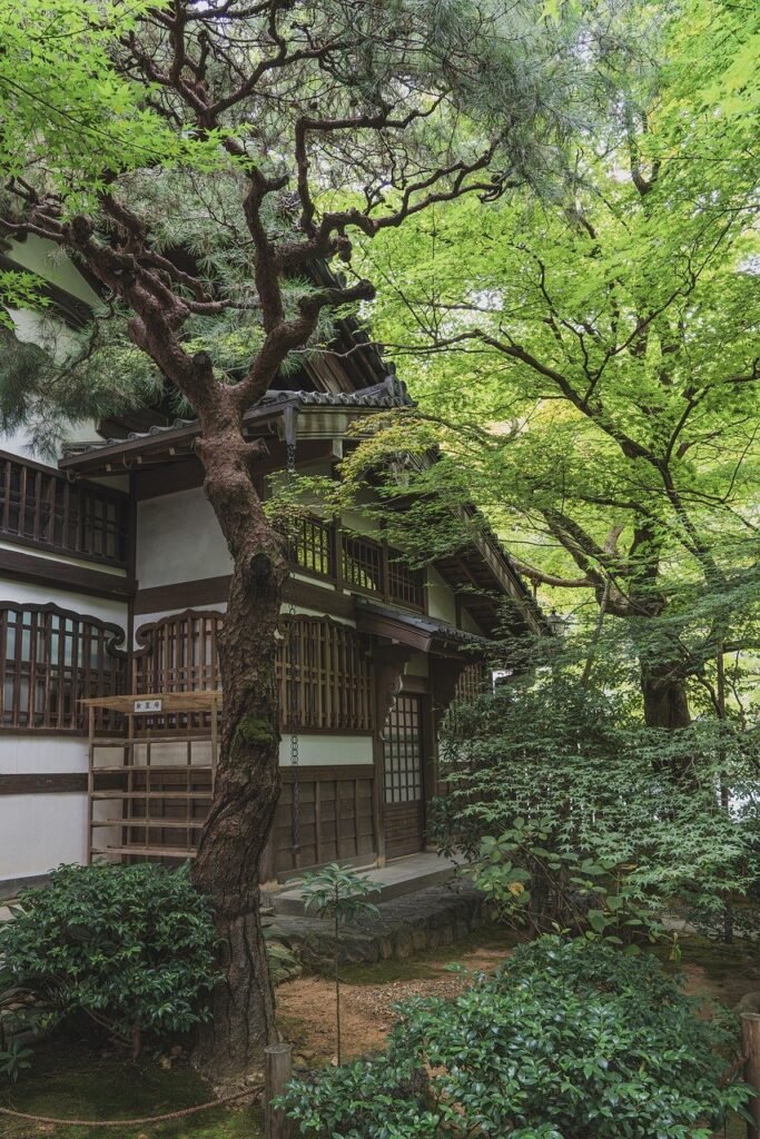 ryoan-ji, ryoan-ji temple, japanese, zen, nature, garden, culture, temple, religion, zen temple, world heritage, unesco world heritage site, sightseeing, japan