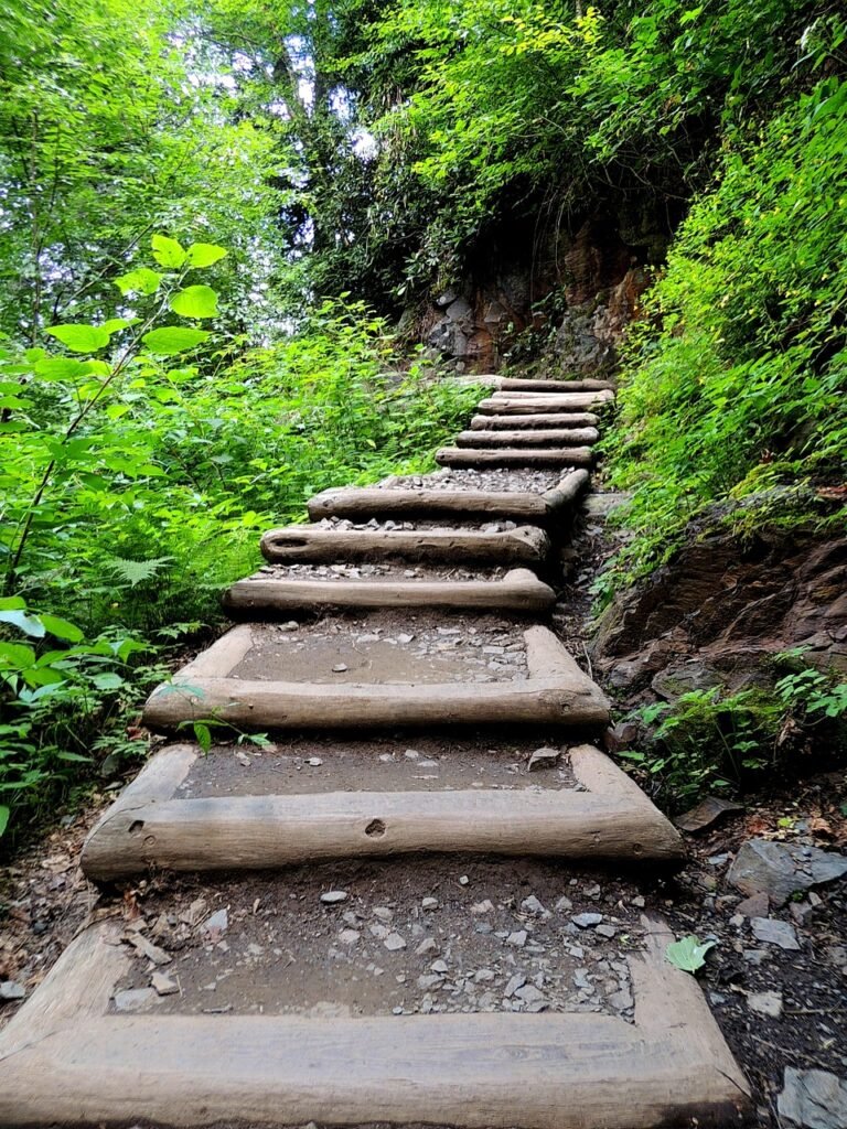 path, stairway, trail, staircase, step, pathway, walkway, progress, climb, color, up, ladder, faith, green path, progress, progress, progress, progress, progress