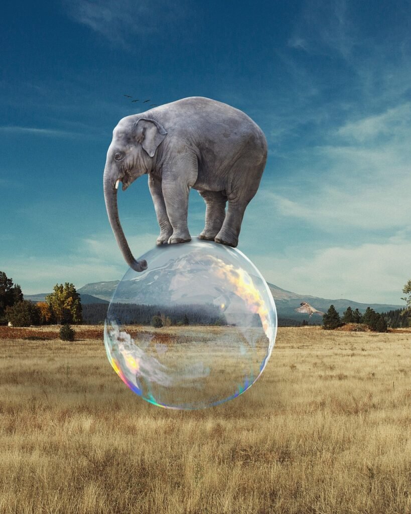 elephant, bubble, balance, surreal, fantasy, africa, savanna, circus, balancing, photomontage, composite, photo manipulation, photo art, balance, circus, circus, circus, circus, circus